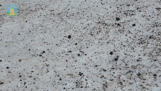 ������ � ��������� � ����������� ������������ ��������� �������� � ��������� � ��������� ������ ��������� �����