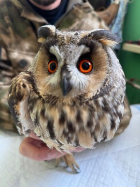 � ����������� ����� ������ ������ ���� � �������� ��������� ������� ����