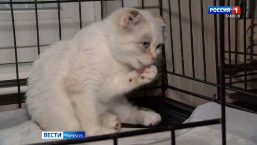 � ������� ������� ������������ ����� ����� � ��������� ������ ������� ������