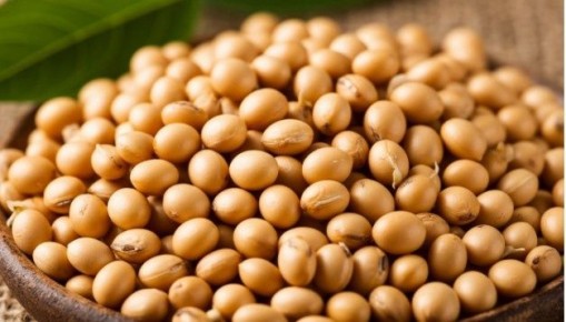 ���� � �������� �����: ������ ������ � ��������� �������� ��� ���������� �����