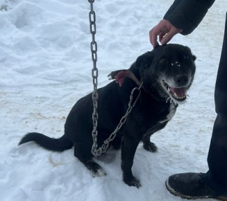 ���� �����: ������� ������