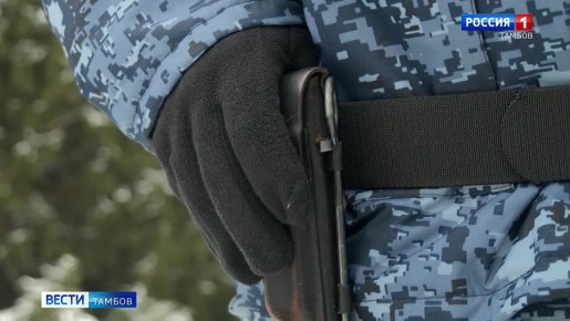 �������� � ������ �������� ���� ����������� ������������� �� ������������� ��������-�������������� �������