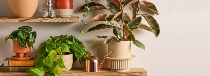 ����� ��������� �������� ��� ���������� ���������