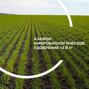 ������: ������������������ ��������� �3 � 1�