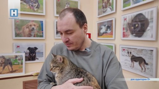 � ������� ������� ��������� ������������ ������ ��� �������� ������� ������ (0+)