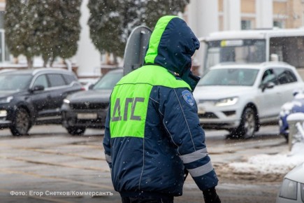 Выплаты за сообщения о пьяных водителях могут ввести в Тамбовской области