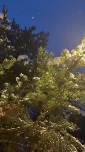 Вместо вечерней медитации. Олеся Павлова/Новый век