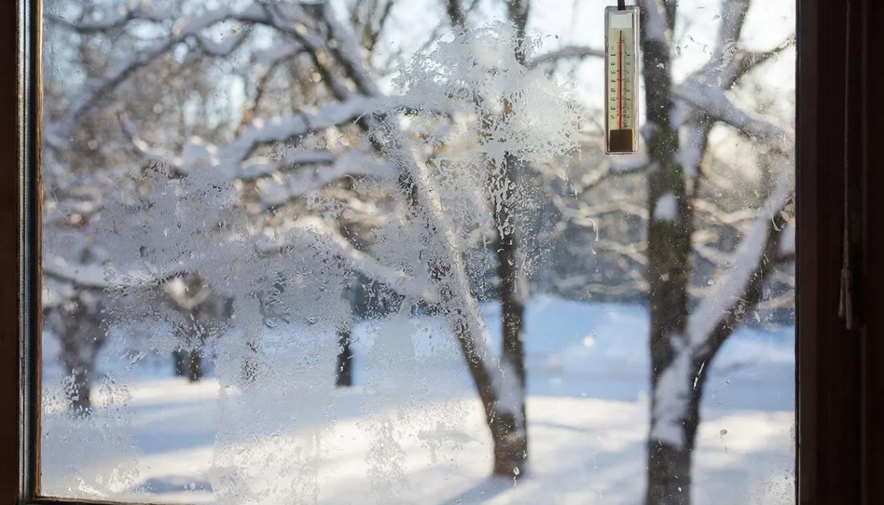 В Тамбовской области ожидаются морозы на 8-15°C ниже климатической нормы