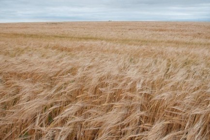 � ���������� ������� � ������� ������ ���������� ����� 12,5 ���