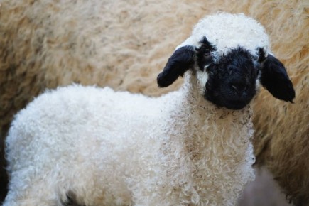 ������� �� ������� ���� ������ � ���������� �������� ������� ���