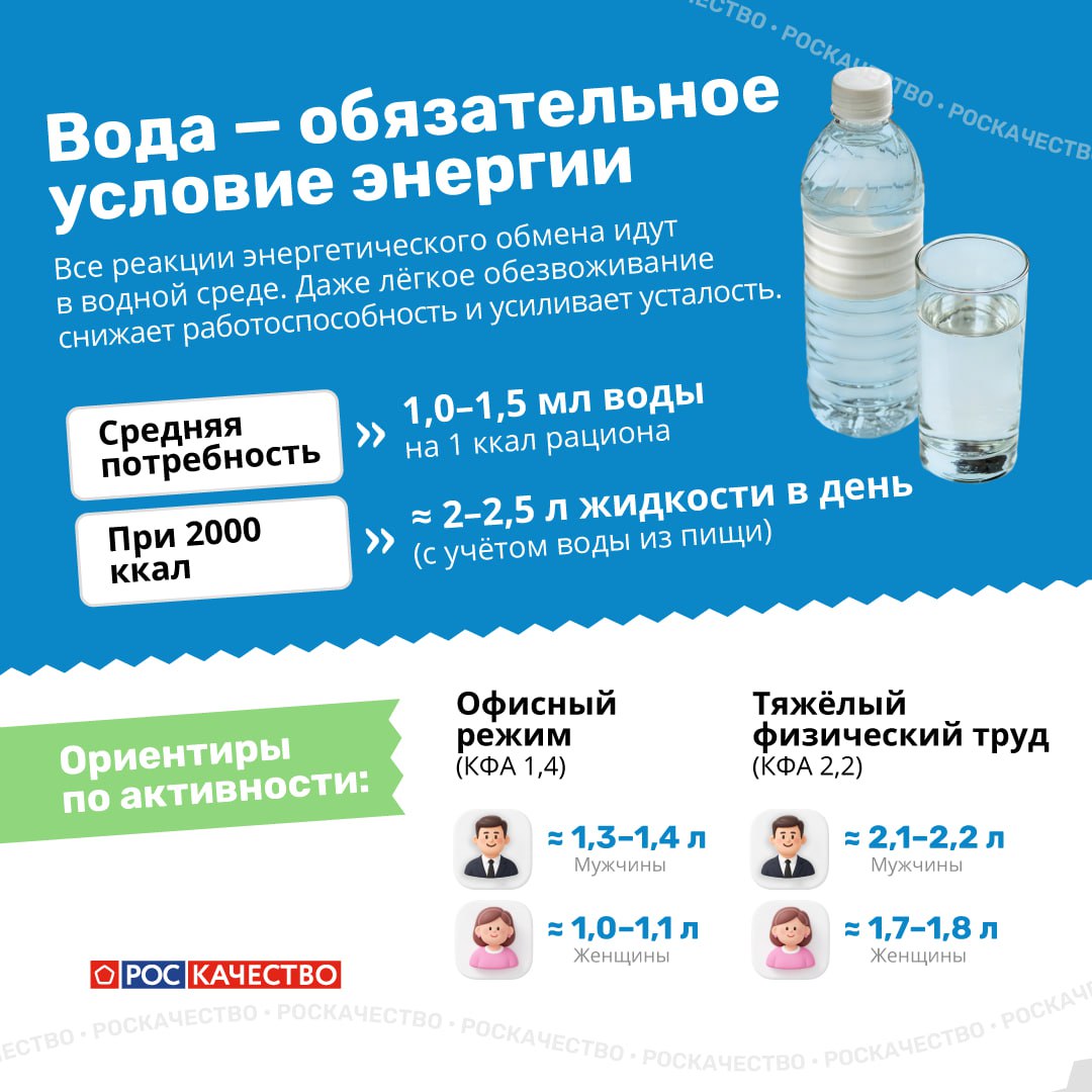 Какая еда является источником энергии для человека, напомнили в Роскачестве Какая еда является источником энергии для человека, напомнили в Роскачестве