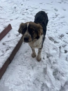 ���� �����: ������ ���� ���