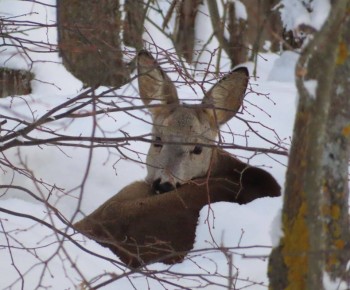 Доброе утро!