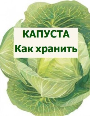 ������� �������� ������� ��� ���������� �� �������� �������