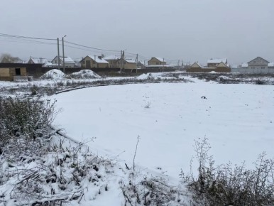 В Тамбовской области по материалам прокурорской проверки возбуждено уголовное дело о мошенничестве на сумму более 9 млн рублей