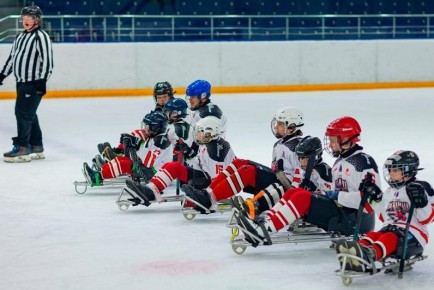 ������ ����������� ������������ �� �����-������ ������ � �������