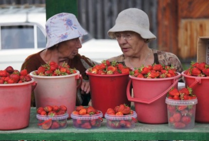 Опасные ягоды: стоит ли рисковать покупками на стихийных рынках?