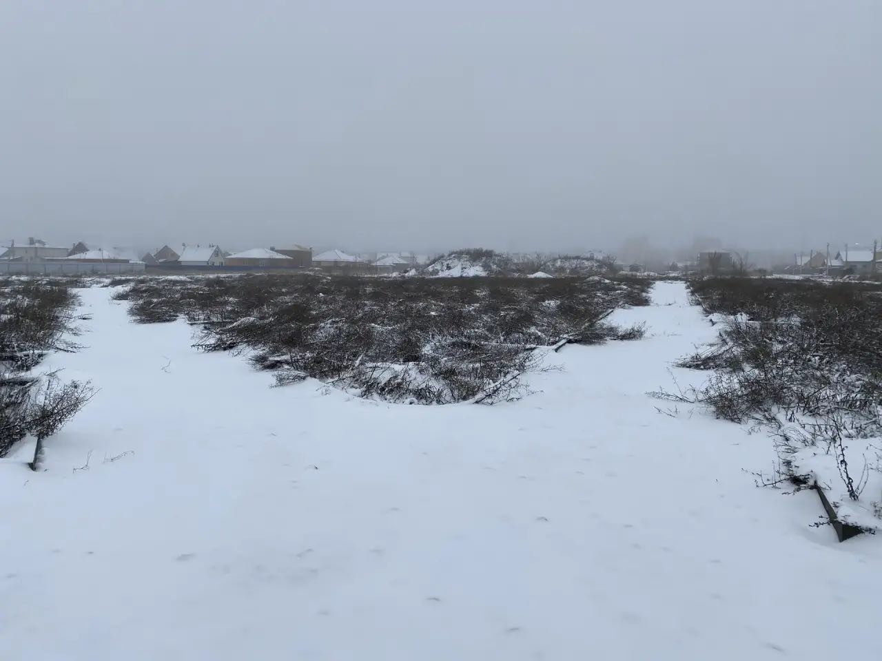 В Тамбовской области по материалам прокурорской проверки возбуждено уголовное дело о мошенничестве на сумму более 9 млн рублей В Тамбовской области по материалам прокурорской проверки возбуждено уголовное дело о мошенничестве на сумму более 9 млн рублей