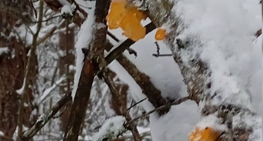 ������� ������: �������� ���������� ���������� � ����� ����������� �������