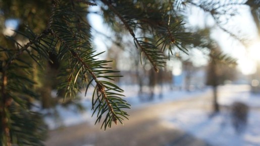 ������ ����, ������!. ��������� ���������� ����������