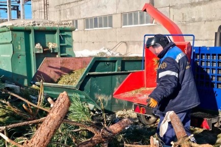 В Тамбове начали переработку новогодних ёлок