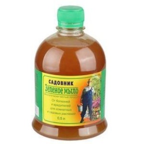 Фунгициды для комнатных растений: советы по выбору и применению