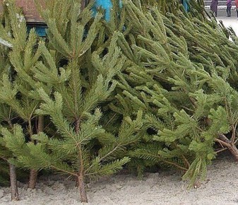 � ������� ������������ ������������� ����� �� ����������� ���������� ����