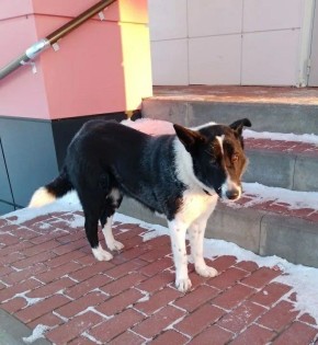 ���� �����: ������ ���� ���