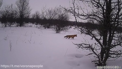 ����, ���� � ������ ������: ����� ��� �������