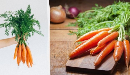 ���� ������� ������ ��������� ������� ������ ������ ������ ����