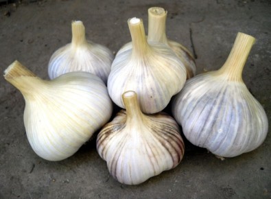 ��� ������� ������ � ������� ������� ������� ������ �� ������� ������