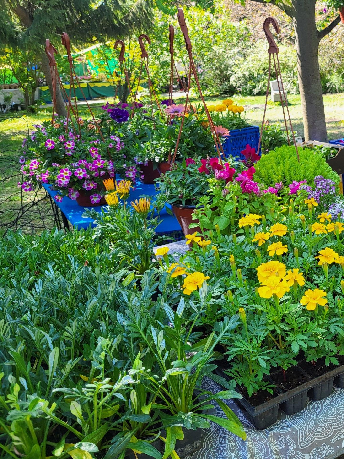 В календарь событий Тамбовской области на 2026 год вошли пять мероприятий, организованных администрацией города Тамбова В календарь событий Тамбовской области на 2026 год вошли пять мероприятий, организованных администрацией города Тамбова