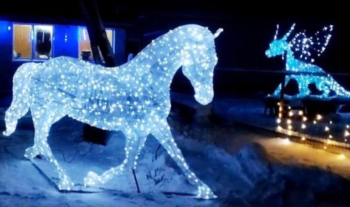 ������ ����������� ������ ���������� ���� ���� � ���������� ��������