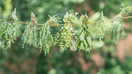 ��� �������� ���������� �� ����������� ������� ������� ���������� �� ����