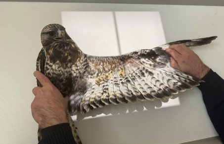 � ����������� ����� ���������� ������ ������ ����� � ���������� �����