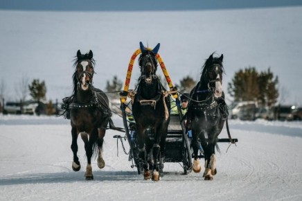 ���������� �������� ������� ������������� ����� ������-���� � ������