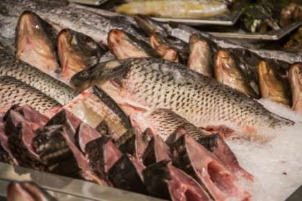 ������ ��� ������� ������� ���� � ����������: ������� �� �����������