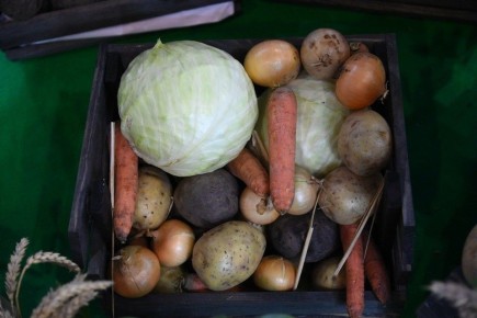 Ноябрый взгляд на сезонные продукты и их пользую для плечей дня