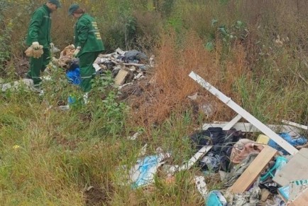 В Тамбовской области в 2025 году убрали 19 несанкционированных свалок