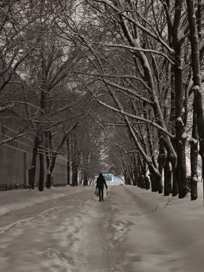 ������� � ���� �� 30 ������: