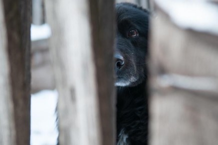 ����������� ����� ������ ������������ � ���������� ������� � 1 ��� 2026 ����