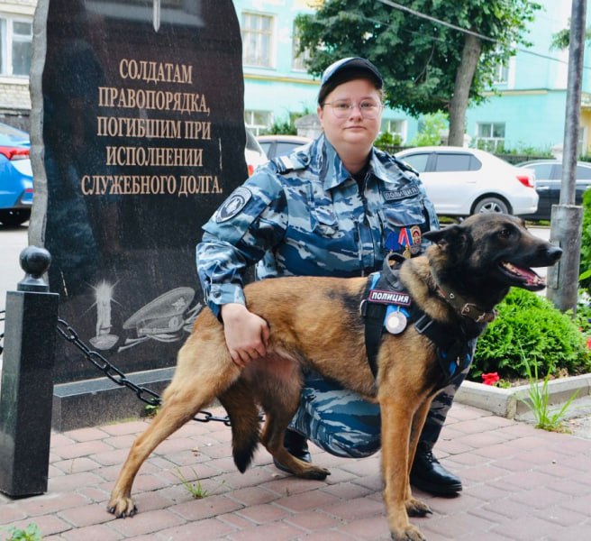 «Братья наши»: как отважная овчарка Марта обезвредила злоумышленника и получила шанс на премию