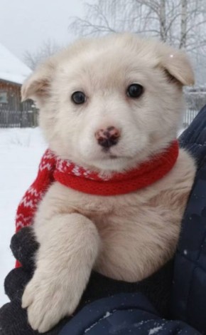 ���� �����: ����� ���� ���