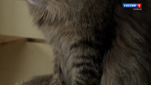 ������� ����������� ��� ������� � ����� ����� ������� ����� �����