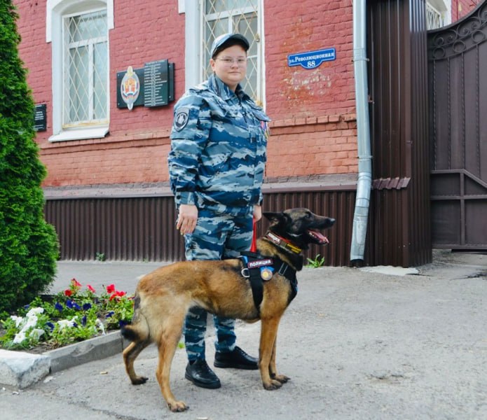 «Братья наши»: как отважная овчарка Марта обезвредила злоумышленника и получила шанс на премию «Братья наши»: как отважная овчарка Марта обезвредила злоумышленника и получила шанс на премию