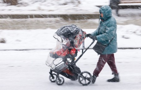 � 1 ������� � ������ ������� ����� 40 ���������� ������ �� 5,6%