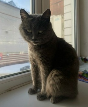 ���� �����: ����� ���� ������� ��� ����� ������