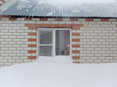 ���� ���. �������� ������ �� ������ "������� �������"