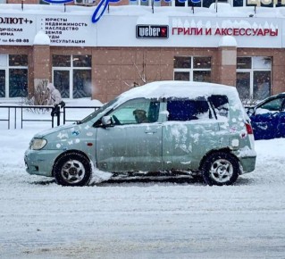 Сегодня едут за рулем даже пушистые