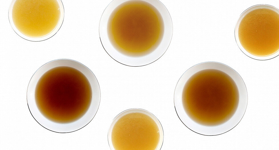 Погружение в мир бульонов